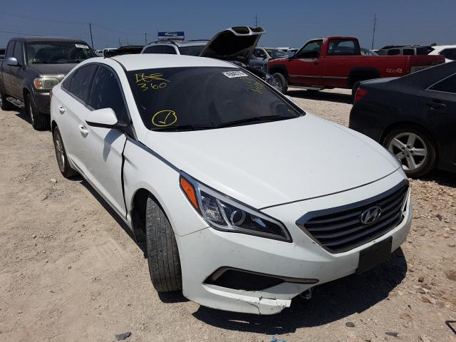 HYUNDAI SONATA 2016 5npe24afxgh332373