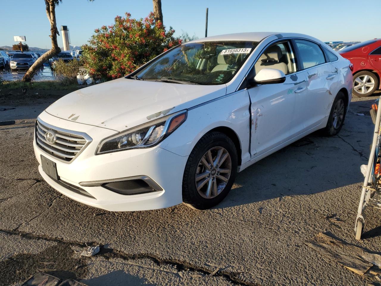 HYUNDAI SONATA 2016 5npe24afxgh339162