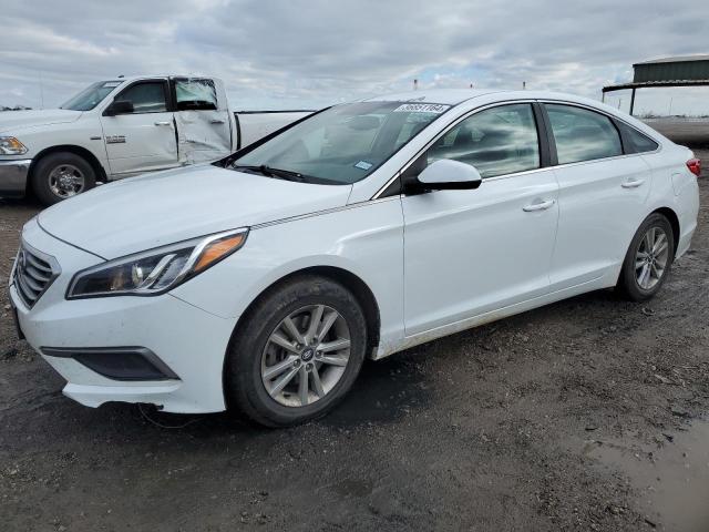 HYUNDAI SONATA 2016 5npe24afxgh339839