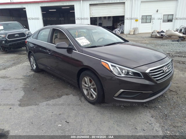 HYUNDAI SONATA 2016 5npe24afxgh347326