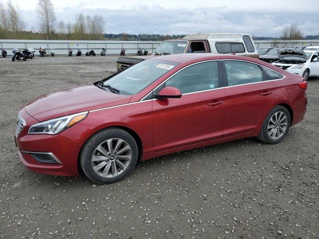 HYUNDAI SONATA 2016 5npe24afxgh348234