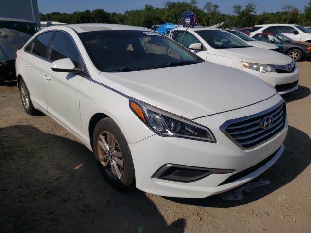 HYUNDAI SONATA SE 2016 5npe24afxgh366135