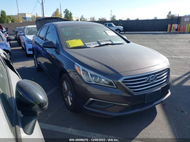 HYUNDAI SONATA 2016 5npe24afxgh370170