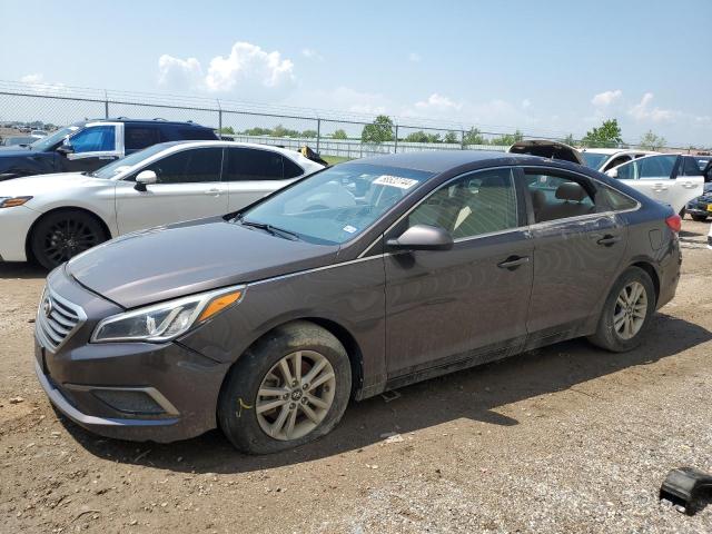 HYUNDAI SONATA 2016 5npe24afxgh372727