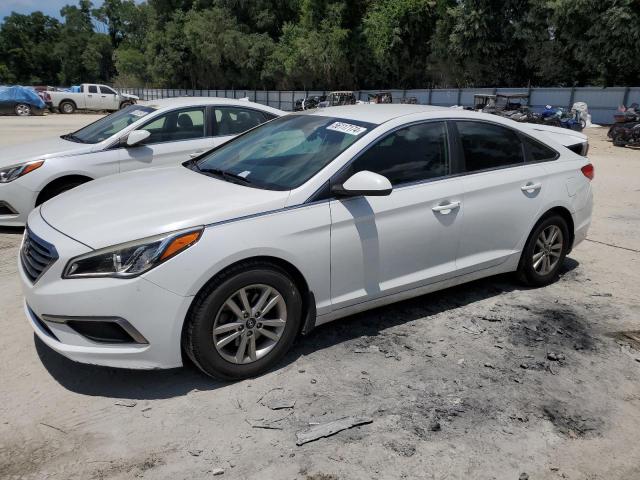 HYUNDAI SONATA 2016 5npe24afxgh378821