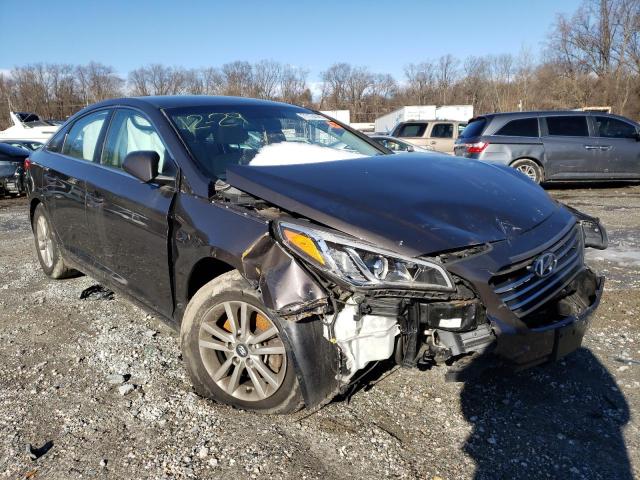 HYUNDAI SONATA SE 2016 5npe24afxgh379922