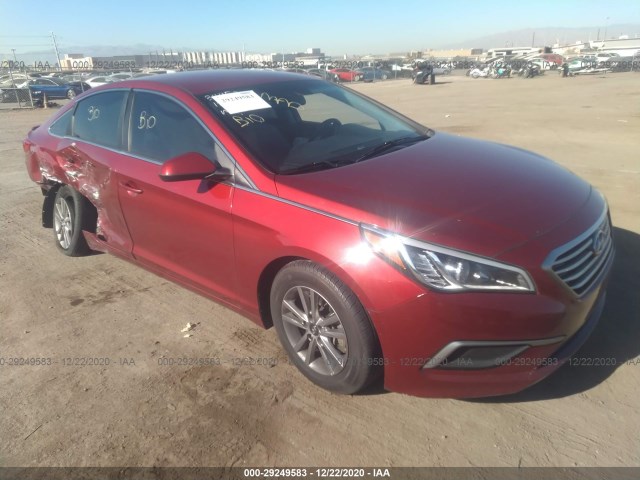 HYUNDAI SONATA 2016 5npe24afxgh383727