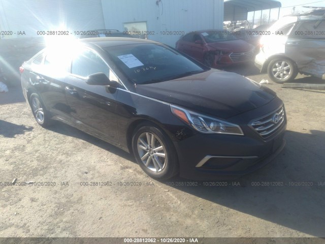 HYUNDAI SONATA 2016 5npe24afxgh384828