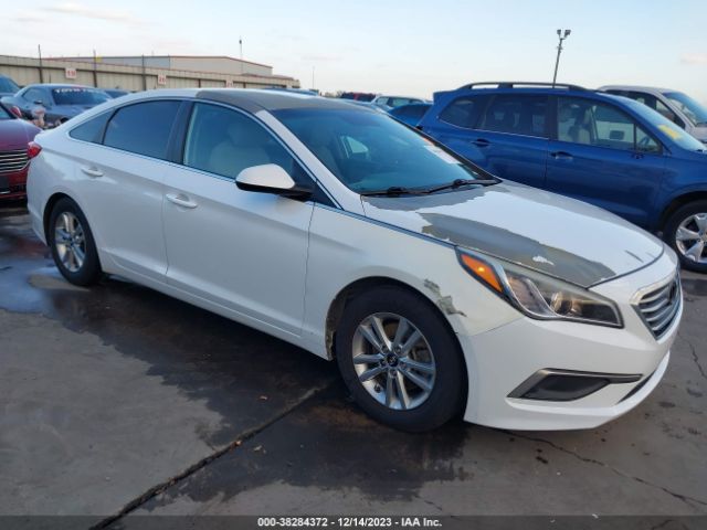 HYUNDAI SONATA 2016 5npe24afxgh388247