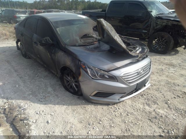 HYUNDAI SONATA 2016 5npe24afxgh388412