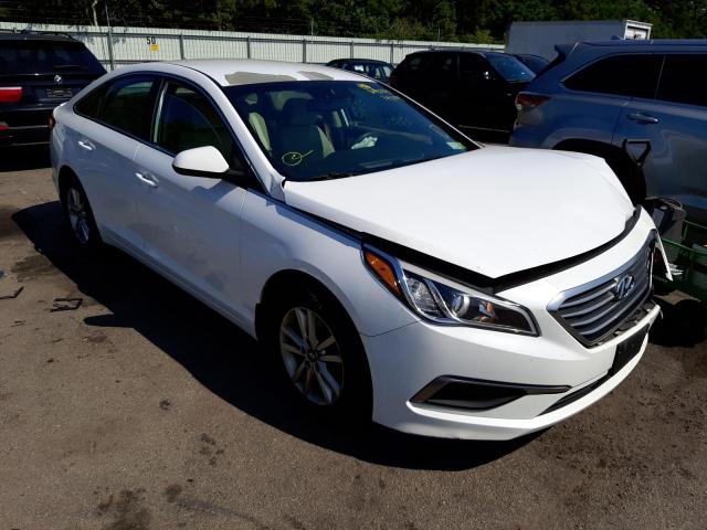 HYUNDAI SONATA SE 2016 5npe24afxgh392704