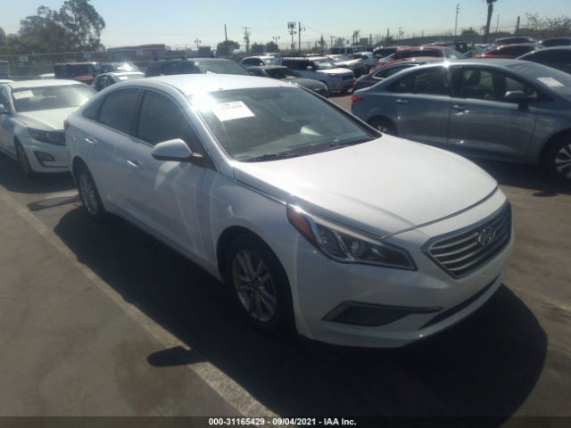 HYUNDAI SONATA 2016 5npe24afxgh403331