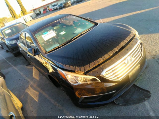 HYUNDAI SONATA 2016 5npe24afxgh407346