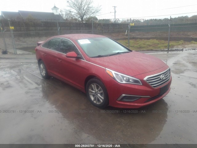 HYUNDAI SONATA 2016 5npe24afxgh410246