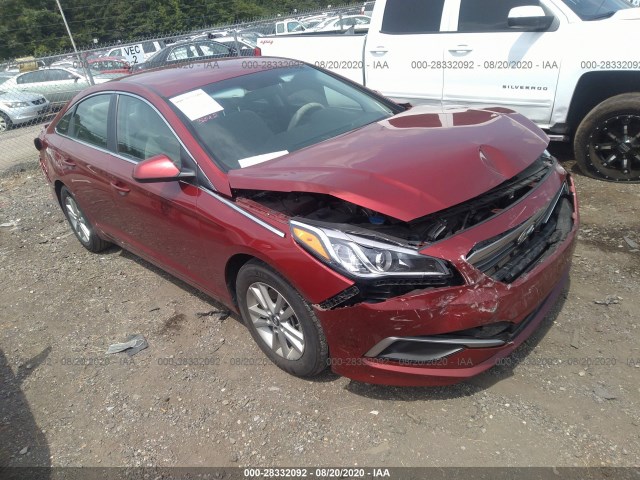 HYUNDAI SONATA 2016 5npe24afxgh419013