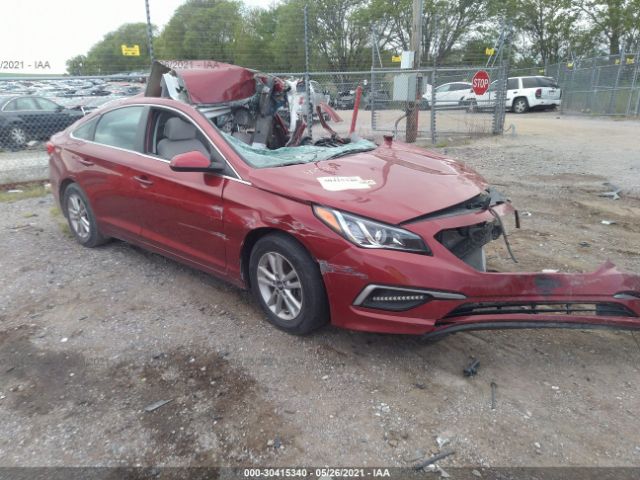 HYUNDAI SONATA 2016 5npe24afxgh421294