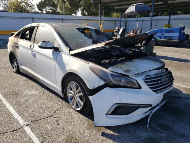 HYUNDAI SONATA SE 2016 5npe24afxgh429895