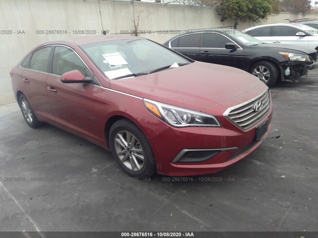 HYUNDAI SONATA 2016 5npe24afxgh435986