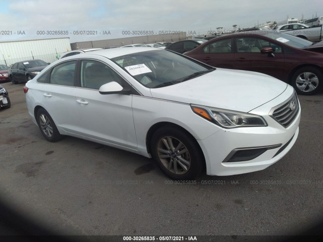 HYUNDAI SONATA 2017 5npe24afxhh445161