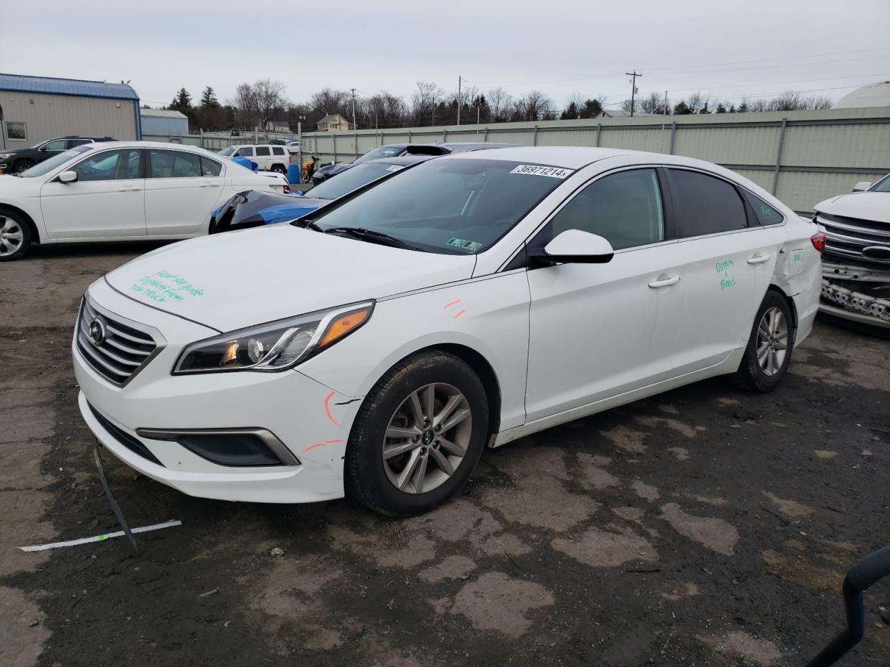 HYUNDAI SONATA 2017 5npe24afxhh450246