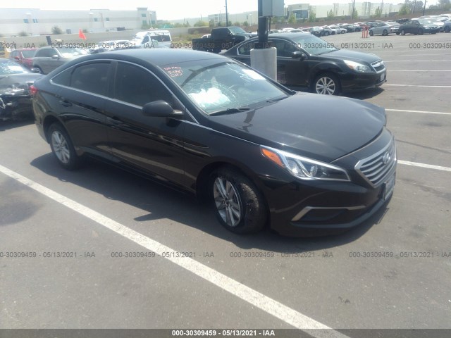 HYUNDAI SONATA 2017 5npe24afxhh450277