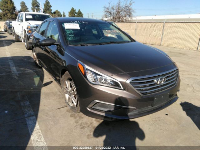 HYUNDAI SONATA 2017 5npe24afxhh458329