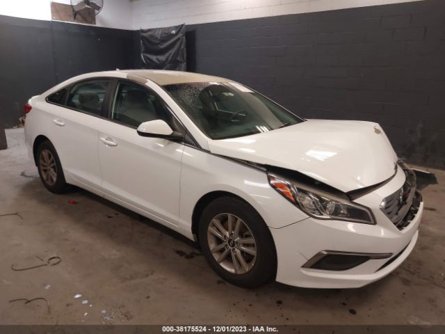 HYUNDAI SONATA 2017 5npe24afxhh463109