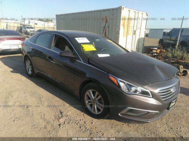 HYUNDAI SONATA 2017 5npe24afxhh463353