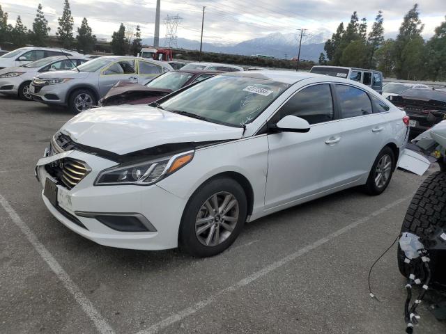 HYUNDAI SONATA 2017 5npe24afxhh487152