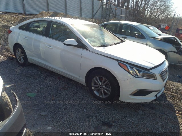 HYUNDAI SONATA 2017 5npe24afxhh487331