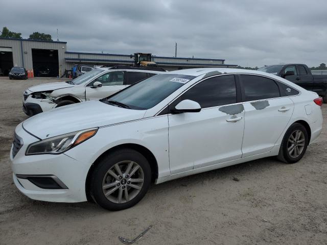 HYUNDAI SONATA 2017 5npe24afxhh489211