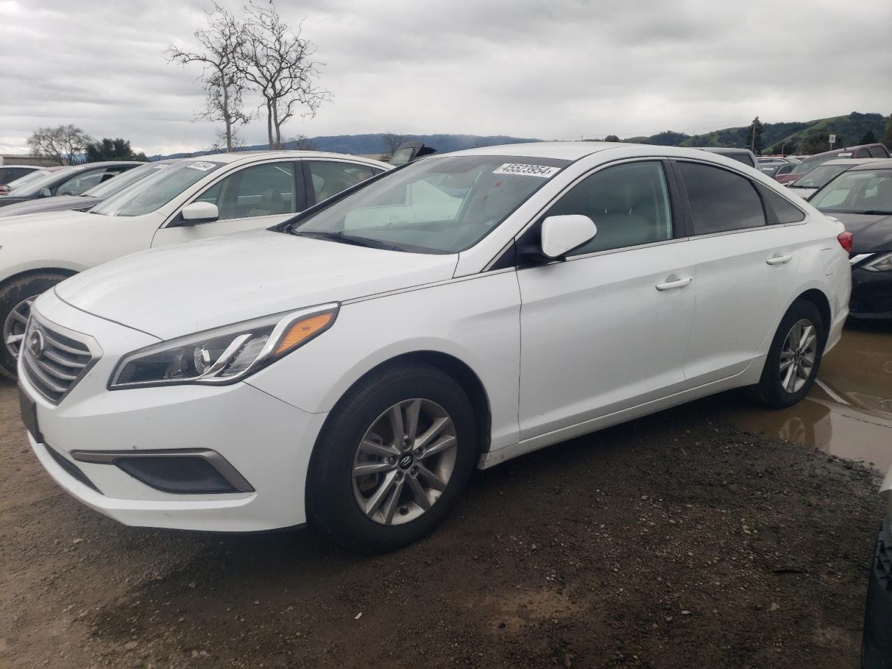 HYUNDAI SONATA 2017 5npe24afxhh490259