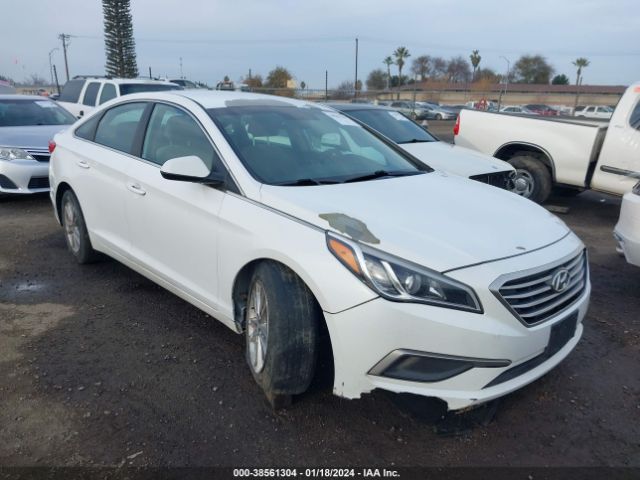 HYUNDAI SONATA 2017 5npe24afxhh491430