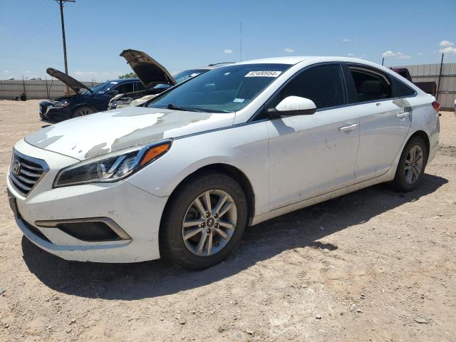 HYUNDAI SONATA 2017 5npe24afxhh493341