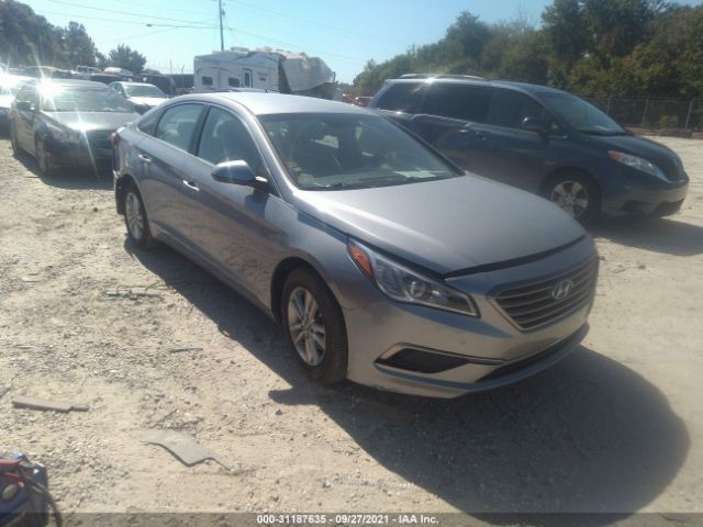 HYUNDAI SONATA 2017 5npe24afxhh494313