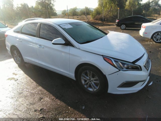 HYUNDAI SONATA 2017 5npe24afxhh504581