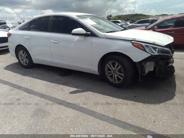 HYUNDAI SONATA 2017 5npe24afxhh508100