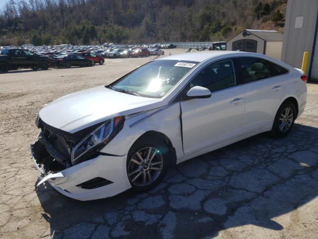 HYUNDAI SONATA 2017 5npe24afxhh512101