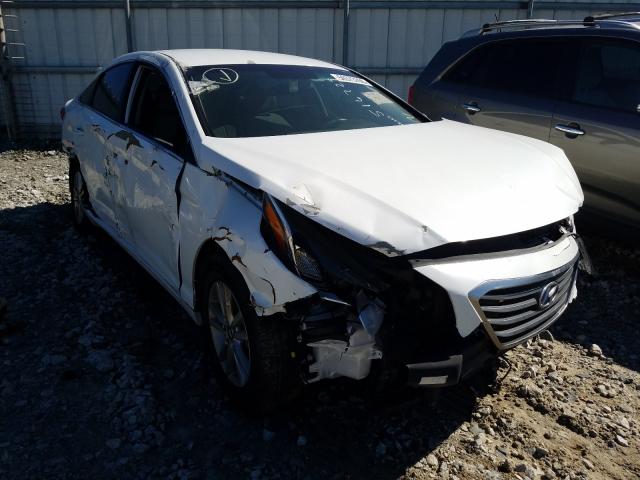 HYUNDAI SONATA SE 2017 5npe24afxhh516729