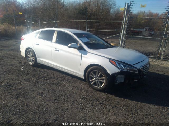 HYUNDAI SONATA 2017 5npe24afxhh517654