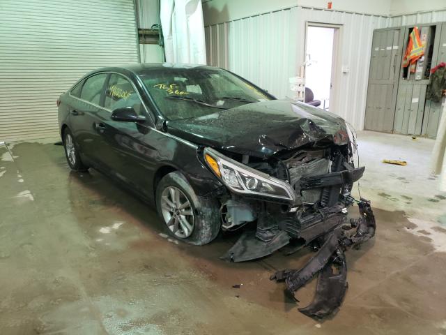 HYUNDAI SONATA SE 2017 5npe24afxhh519677