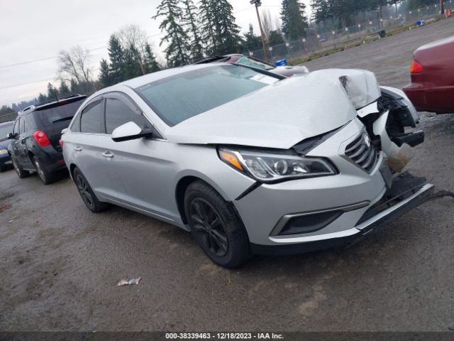 HYUNDAI SONATA 2017 5npe24afxhh521767