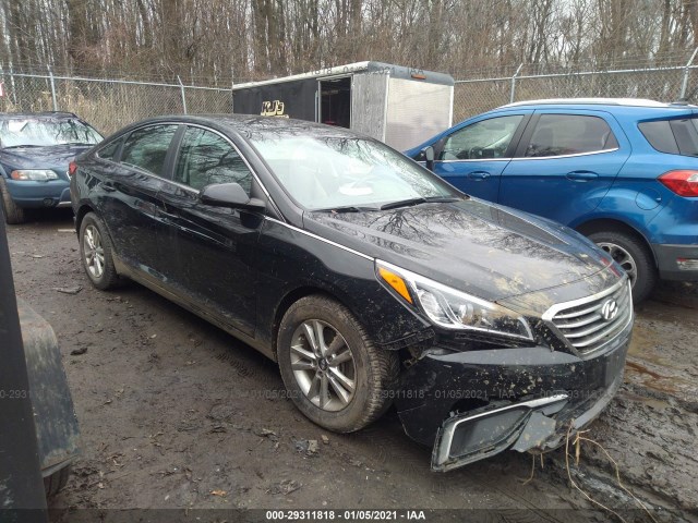 HYUNDAI SONATA 2017 5npe24afxhh524944