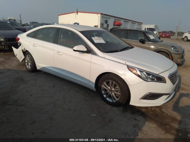 HYUNDAI SONATA 2017 5npe24afxhh529836