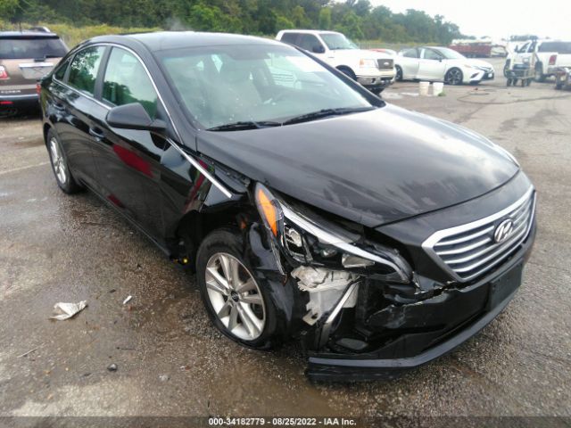 HYUNDAI SONATA 2017 5npe24afxhh530422