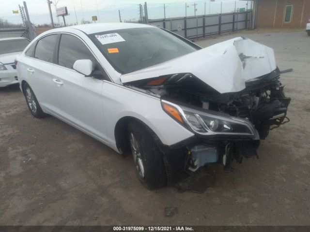 HYUNDAI SONATA 2017 5npe24afxhh530467