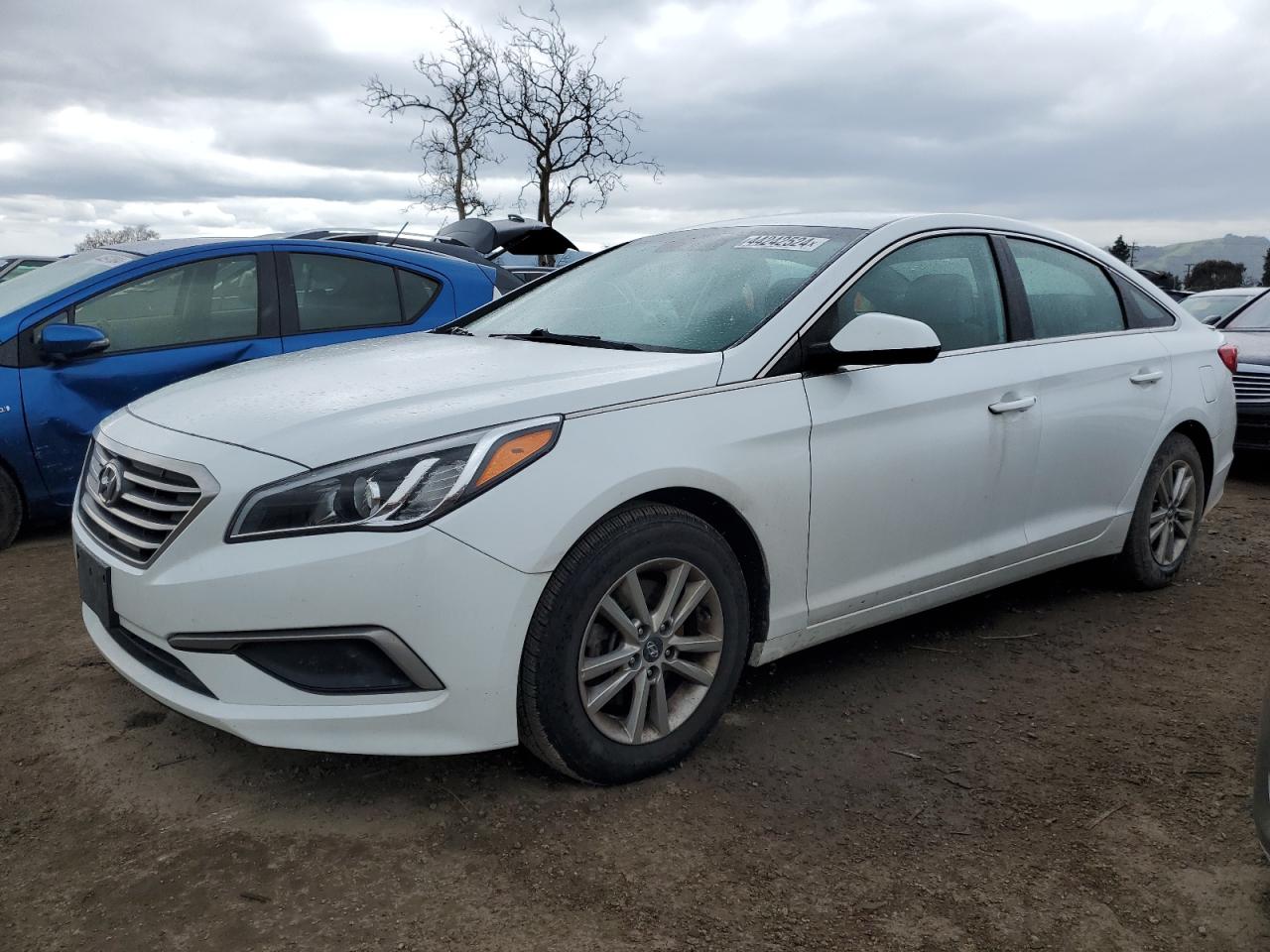 HYUNDAI SONATA 2017 5npe24afxhh531084