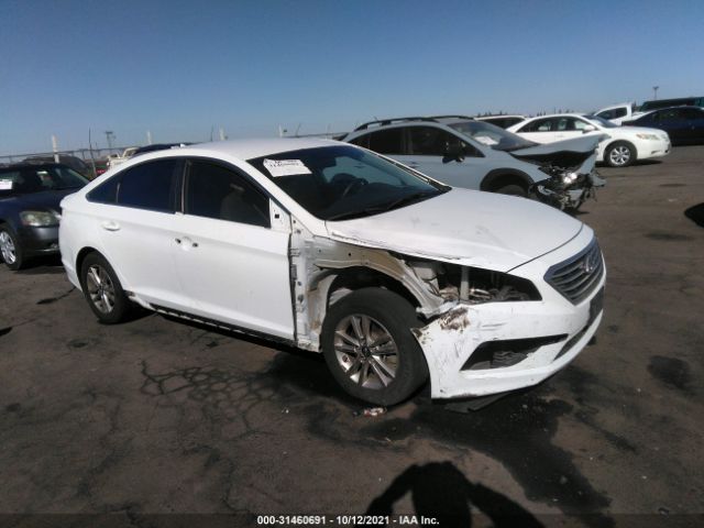 HYUNDAI SONATA 2017 5npe24afxhh531425