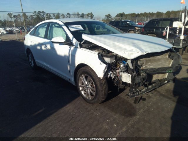 HYUNDAI SONATA 2017 5npe24afxhh533157