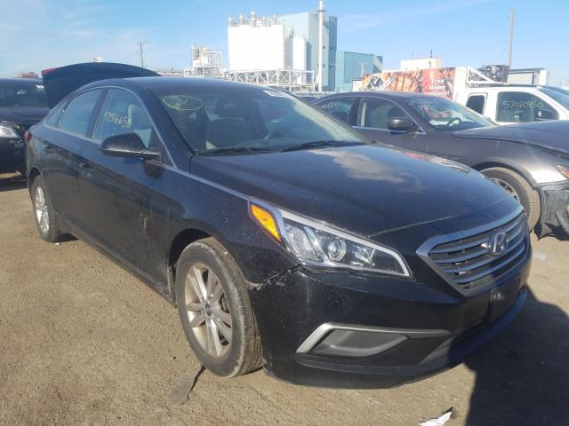 HYUNDAI SONATA 2016 5npe24afxhh533787